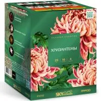 Фейерверк Хризантемы. Купить Фейерверк Хризантемы Z1032 — магазин продажа салютов недорого —  Краснодар, производитель Русский фейерверк - Русская пиротехника, доставка по России  +7 963 711 89 03 — Краснодар | krasnodar.piroclub.ru