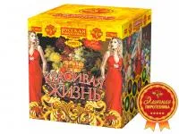 Фейерверк Красивая жизнь РС9640 купить от производителя Русская Пиротехника — Краснодар