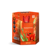 Фейерверк Тюльпаны 19. Купить Фейерверк Тюльпаны 19 Z1050 — магазин продажа салютов недорого —  Краснодар, производитель Русский фейерверк - Русская пиротехника, доставка по России  +7 963 711 89 03 — Краснодар | krasnodar.piroclub.ru